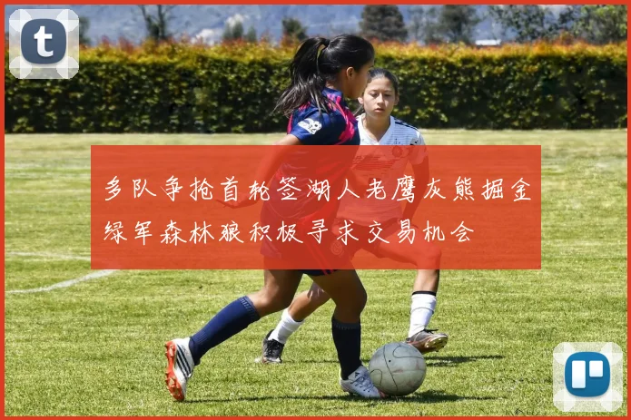 多队争抢首轮签湖人老鹰灰熊掘金绿军森林狼积极寻求交易机会